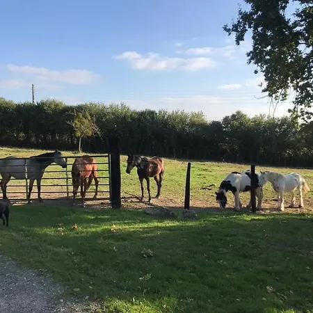 Maison Equestre Inclus, 3 Chambres, Jardin, Proche - Fr-1-497-200 Holiday home