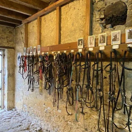 Maison Equestre Inclus, 3 Chambres, Jardin, Proche - Fr-1-497-200 Holiday home Belleme