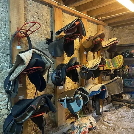 Maison Equestre Inclus, 3 Chambres, Jardin, Proche - Fr-1-497-200